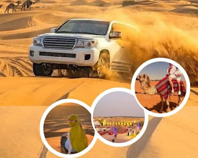 Premium BBQ Buffet Dinner in Desert